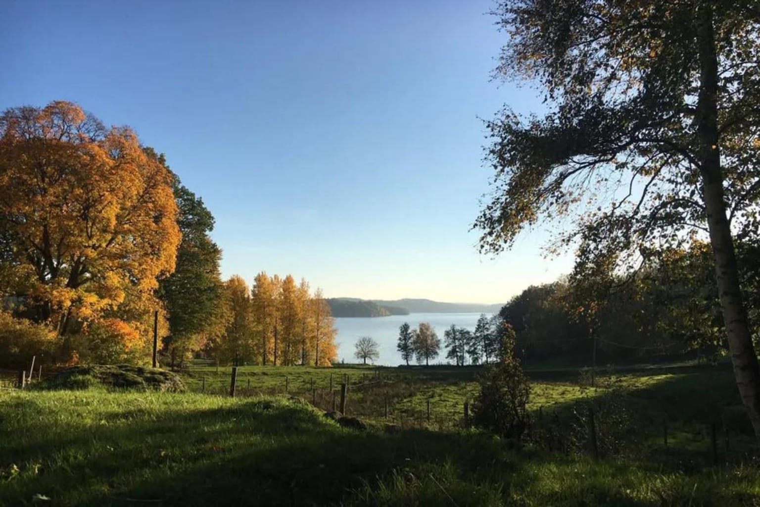 Utsikt över en sjö mellan höstfärgade träd på Himladal.