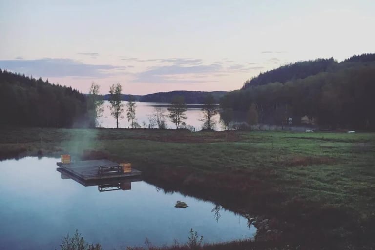 Damm med flotte i kvällsljus, med skog och sjö i bakgrunden.